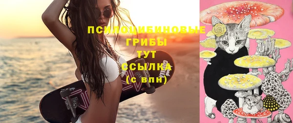 бошки Балахна