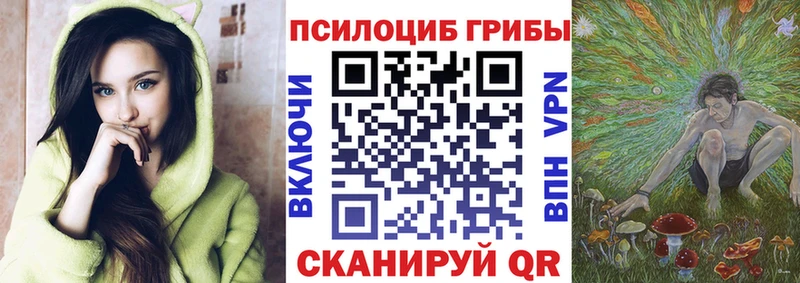 Купить где  Новая Ляля  Псилоцибиновые грибы Magic Shrooms 